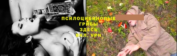 индика Бородино