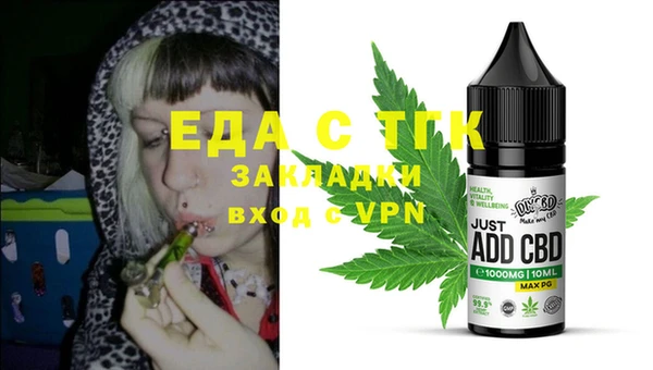 индика Бородино