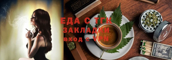 индика Бородино