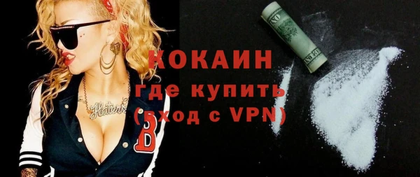 индика Бородино