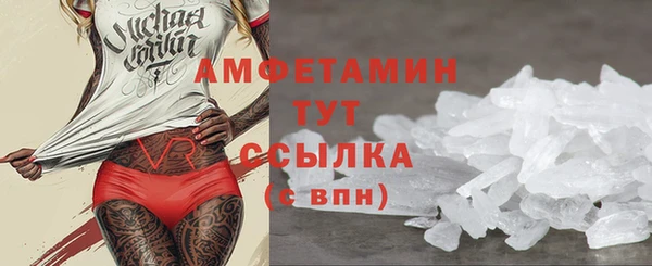 индика Бородино
