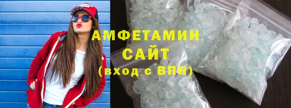 индика Бородино