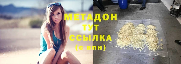 индика Бородино