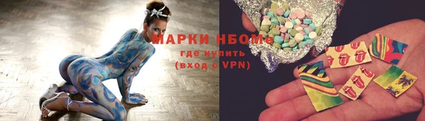 индика Бородино