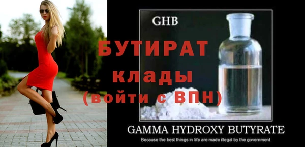 индика Бородино