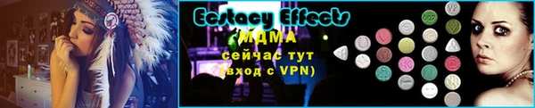 индика Бородино
