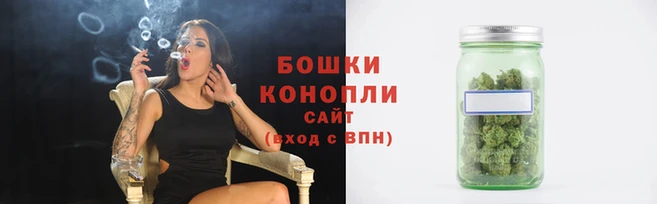 индика Бородино