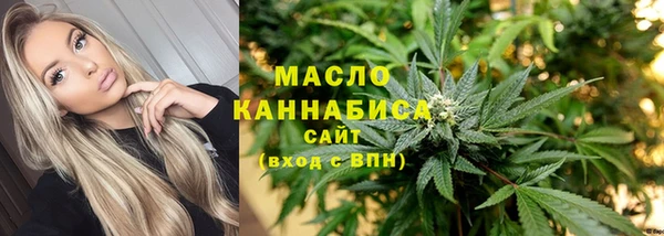 индика Бородино