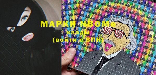 индика Бородино