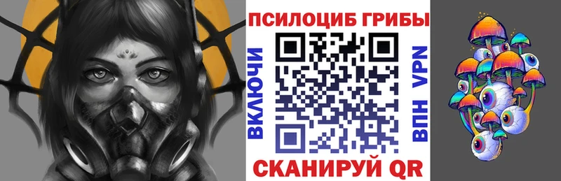 Галлюциногенные грибы Psilocybe наркота Псков